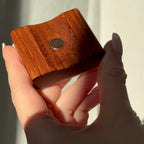 Magnetic Shoehorn